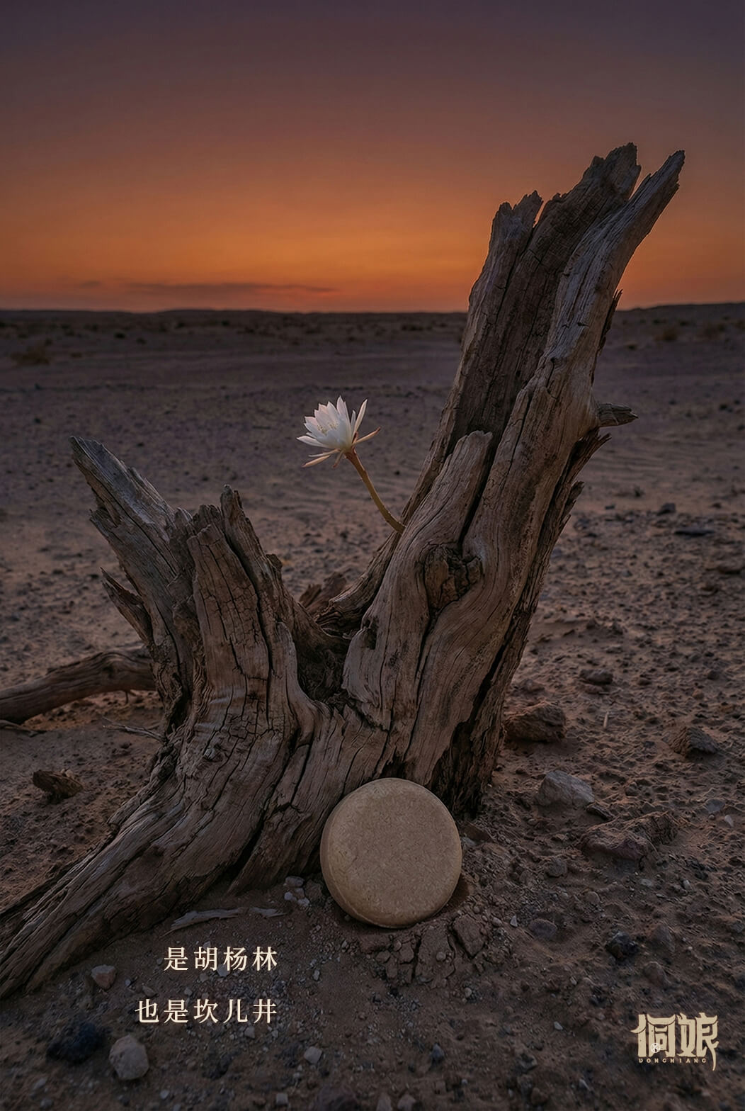 信息遁入虚无境，刷新使它不再虚无